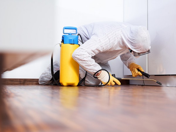 Décontamination à Paris