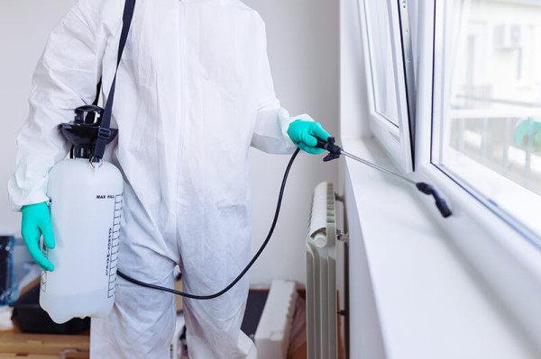 Service de dératisation avec utilisation de gaz pour une éradication totale  